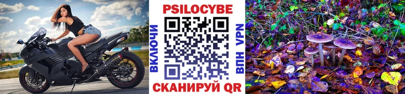 Галлюциногенные грибы Cubensis  Волгоград 